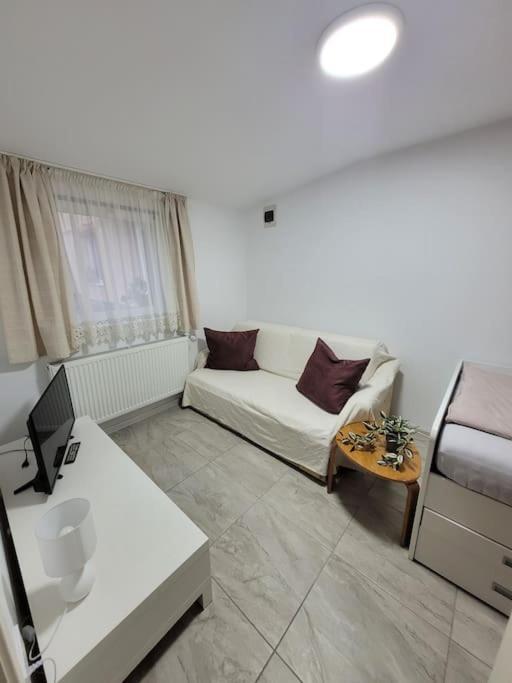 Studio Sibiu Bagian luar foto