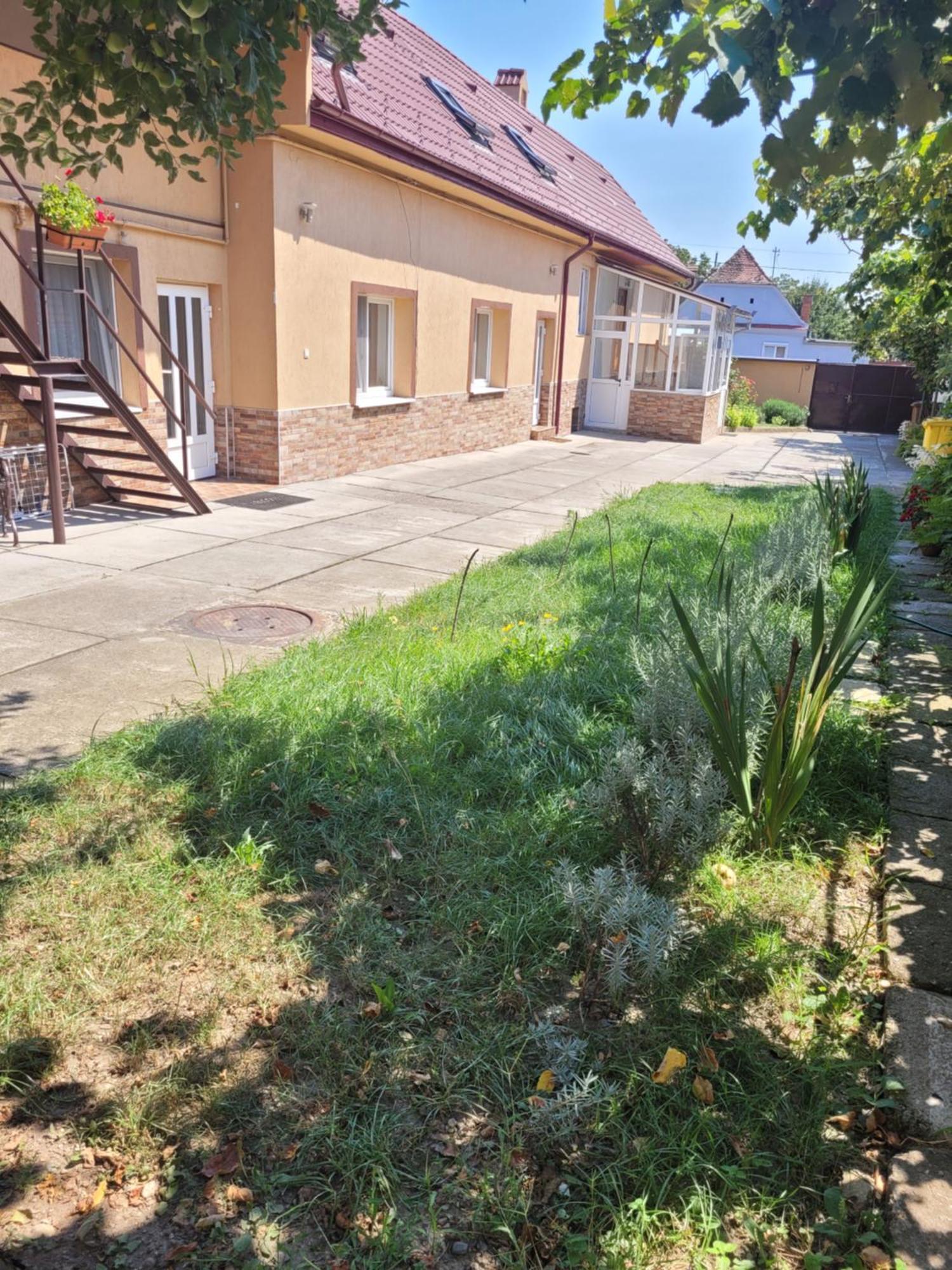 Studio Sibiu Ruang foto